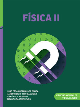 FSICA II